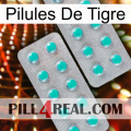 Tiger Pills 29